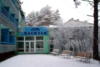 Государственное автономное учреждение здравоохранения Амурской области "Санаторий "Василек" — Амурская область: фото объекта размещения