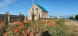 Виноградная лоза — Республика Крым: фото объекта размещения