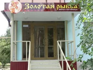Гостиница «Золотая рыбка» ООО «Золотая рыбка» — Сызрань: фото объекта размещения
