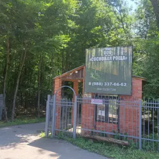 Туристская база «Сосновая роща» — Краснодарский край: фото объекта размещения