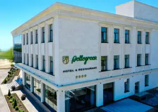 Отель "PellegreenHotel&Restaurant" Индивидуального предпринимателя Шагинян Михаил Юрьевич — Ставрополь: фото объекта размещения
