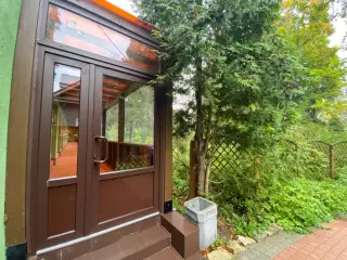 ЭКО Парк Отель FOREST RELAX — Всеволожск: фото объекта размещения