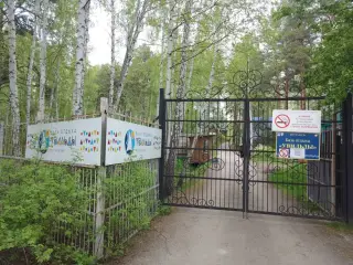 База отдыха «Увильды», ФГУП «Приборостроительный завод имени К.А. Володина» — Карабаш: фото объекта размещения