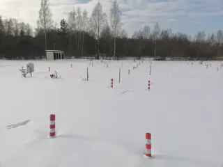 Кемпинг туристско-спортивный центр "Берёзовый хутор" — Псковская область: фото объекта размещения