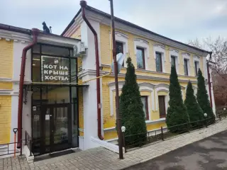 Кот на крыше — Казань: фото объекта размещения
