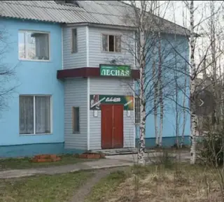 Гостиница «Лесная» — Республика Карелия: фото объекта размещения