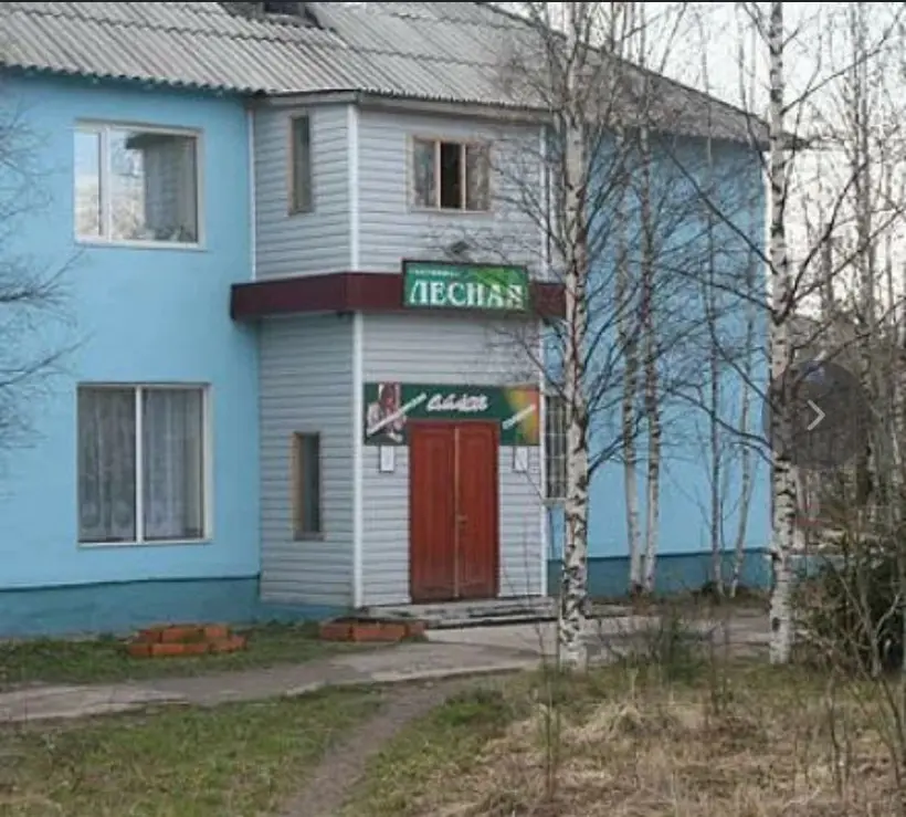 Гостиница Лесная — Республика Карелия: фото объекта размещения