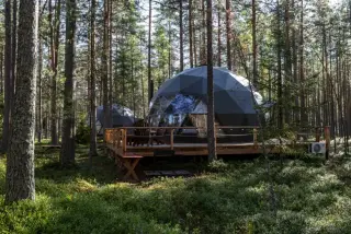 Forest Lake — Ленинградская область: фото объекта размещения