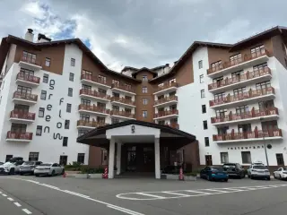 Гостиница "Грин Флоу" (Hotel Green Flow) — Сочи: фото объекта размещения