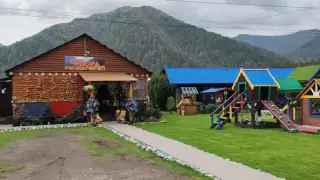 Флора — Республика Алтай: фото объекта размещения